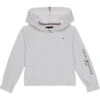 Tommy Hilfiger Adaptive Logo Hoodie (Little Kids/Big Kids)