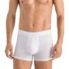 Hanro Natural Function Long Leg Boxer Brief -Famous Apparel Store 81HPcKOSezL. AC SR736920